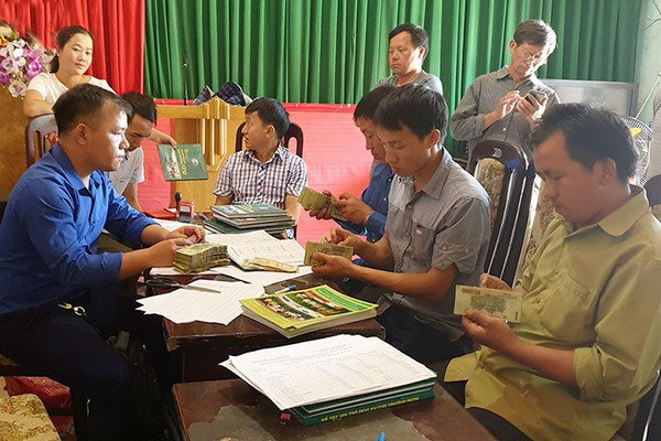 Động lực giúp người dân Tuần Giáo (Điện Biên) yên tâm giữ rừng