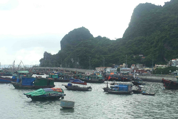 TP.Hạ Long lập quy hoạch nuôi trồng thủy sản trên vịnh