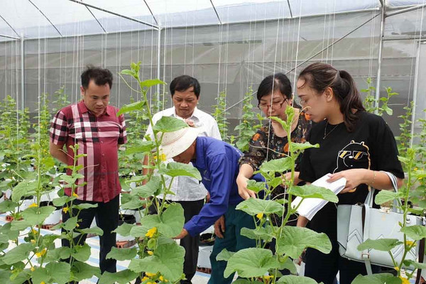 Quảng Ninh đưa công nghệ cao vào sản xuất nông nghiệp, góp phần bảo vệ môi trường