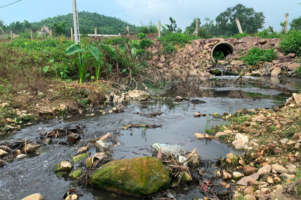 Thái Nguyên: Trại nuôi lợn gia công cho Công ty C.P xả thải ra sông, suối gây ô nhiễm môi trường