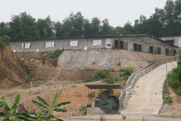 Tiếp bài trại lợn gây ô nhiễm môi trường nghiêm trọng ở Nghệ An: Tạm dừng phê duyệt ĐTM