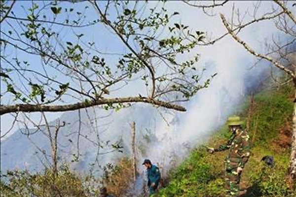 Lào Cai: Tăng cường công tác quản lý phòng chống cháy rừng