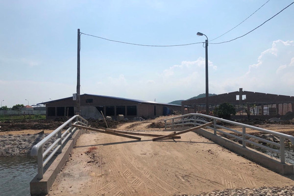 Tiếp bài trang trại gà trên đất lúa tại Hải Phòng: Ai cấp phép xây dựng cầu bê tông qua công trình thuỷ lợi ?