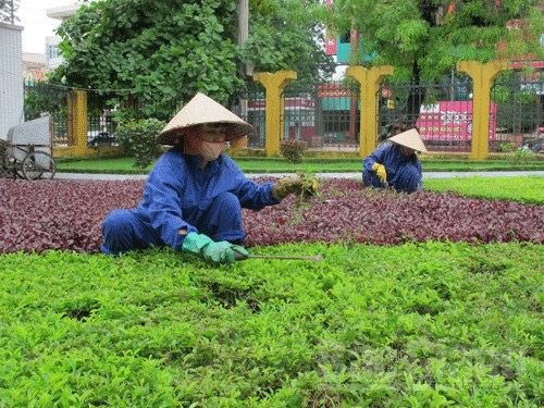 Bắc Giang: Từng bước đổi mới phương thức thu gom, vận chuyển rác thải