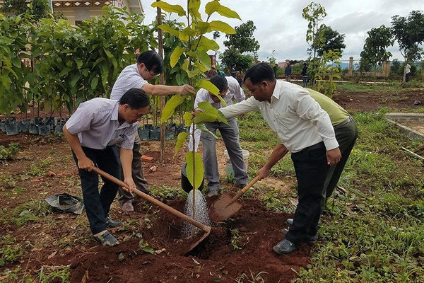 Gia Lai: Phát động trồng hơn 4.000 cây phân tán