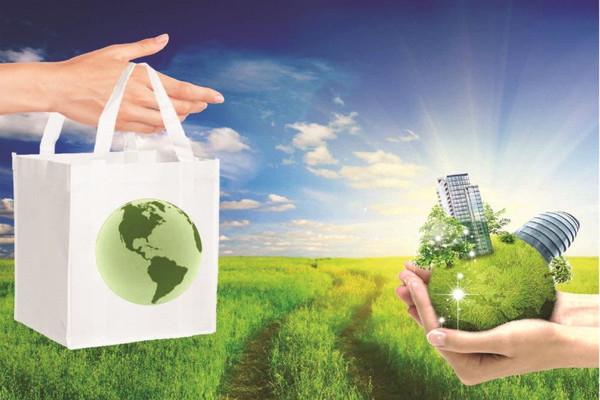 Phát triển kinh tế giai đoạn 2021-2030: Khuyến khích các sản phẩm thân thiện môi trường, có thể tái chế