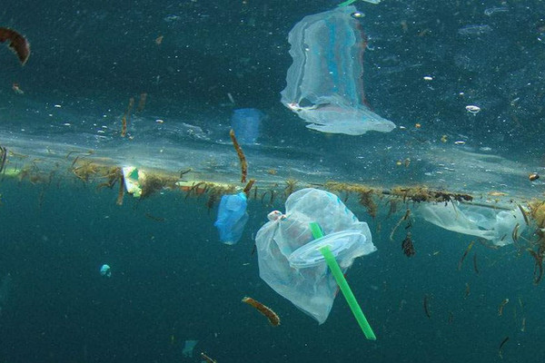 Hy Lạp soạn thảo dự luật cấm sử dụng nhựa dùng một lần