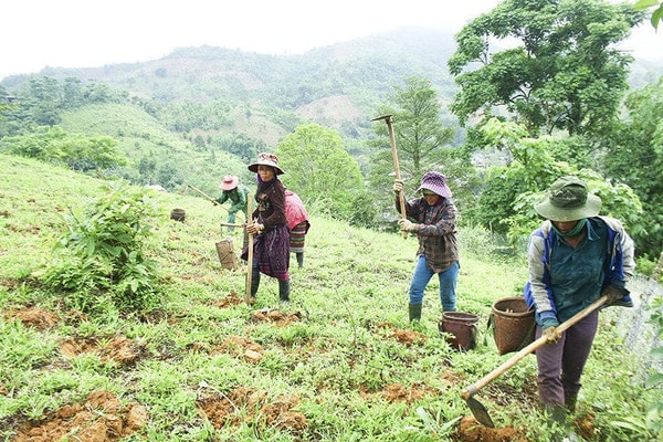 Tăng cường quyền tiếp cận sử dụng đất cho đồng bào dân tộc thiểu số