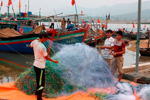 Nghệ An: Từng bước hạn chế tàu thuyền làm các nghề khai thác không thân thiện với nguồn lợi thủy sản