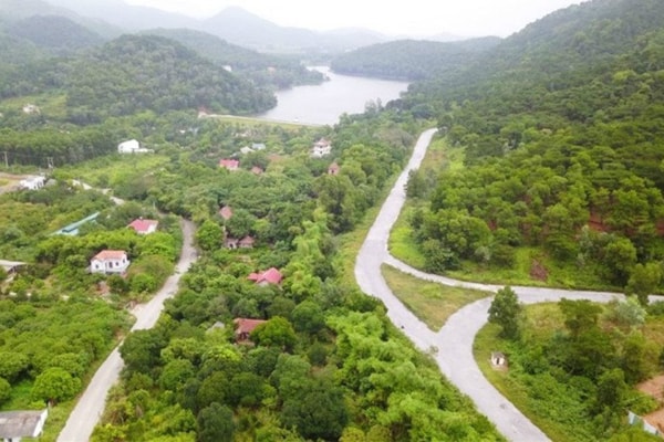 Quy hoạch lâm nghiệp tích hợp vào quy hoạch chung của Thủ đô