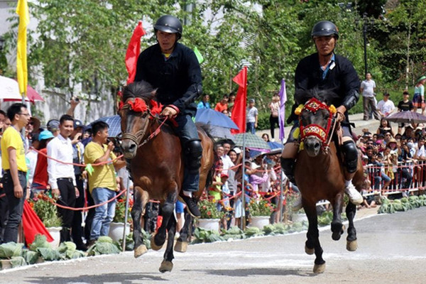 Lào Cai: Hấp dẫn giải đua “ Vó ngựa trên mây” 