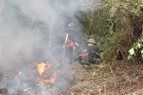 Kịp thời dập tắt cháy rừng ở Thanh Hóa
