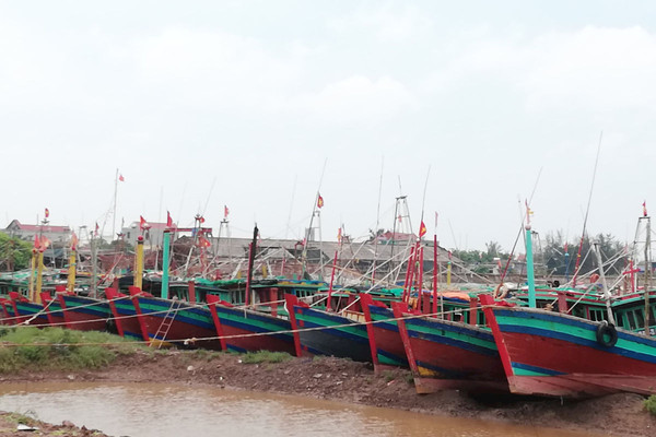 Nam Định cấm biển, khẩn trương kêu gọi tàu thuyền