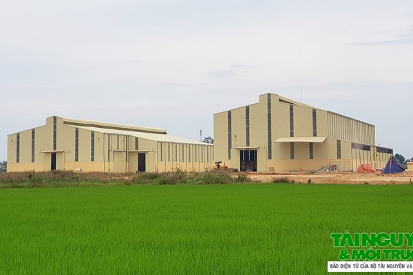 Thanh Hóa: Công ty Mía đường Lam Sơn xây dựng Trung tâm chế biến nông sản trái phép?