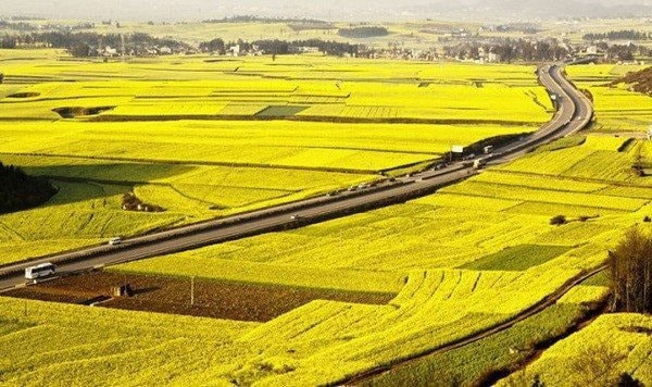 Thủ tướng yêu cầu thúc đẩy mọi giải pháp để tăng trưởng kinh tế vùng ĐBSCL