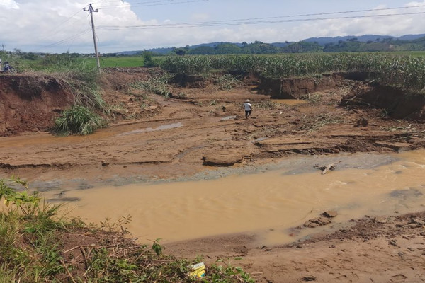 Đắk Lắk: Hơn 800 hecta cây trồng bị ngập do mưa lớn