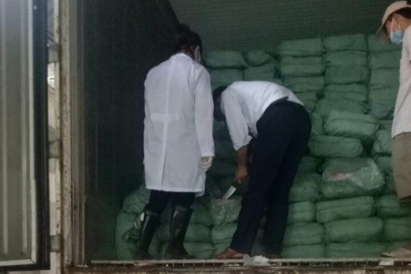 Hải Phòng: Bắt giữ container chứa 24 tấn nội tạng nhiễm dịch tả lợn Châu Phi