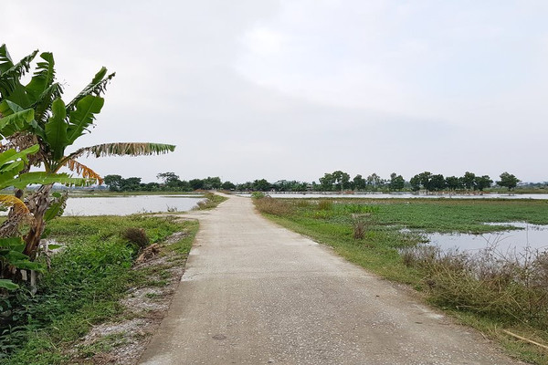 Thanh Hóa: Hỗ trợ xi măng cho 77 xã xây dựng kênh mương nội đồng, rãnh thoát nước khu dân cư