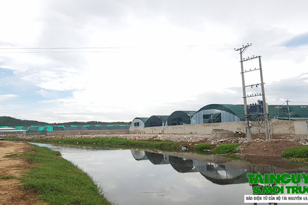 Thanh Hóa: HTX Liên Minh xây “chui” Dự án nuôi tôm