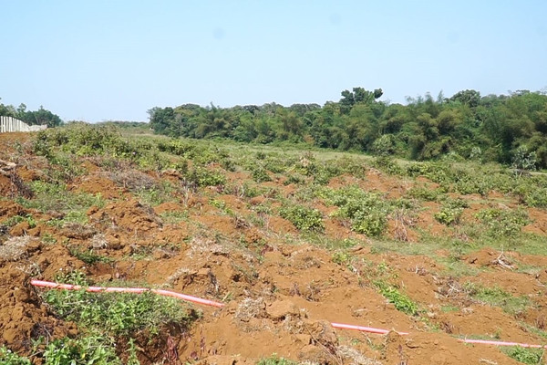 Phá rừng, một doanh nghiệp tại Quảng Trị bị phạt gần 200 triệu đồng 
