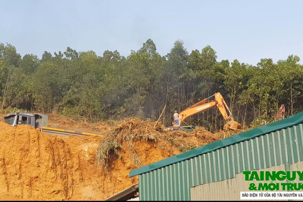 Thanh Hóa: “Đất tặc” lộng hành cạnh mỏ của Công ty Việt Lào