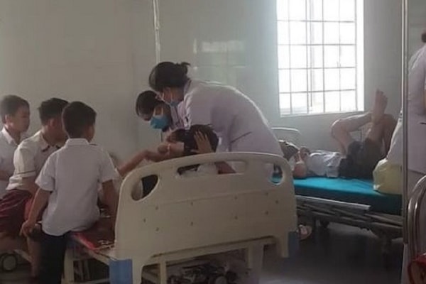 Quảng Trị: Hàng chục học sinh tiểu học phải nhập viện vì ong đốt