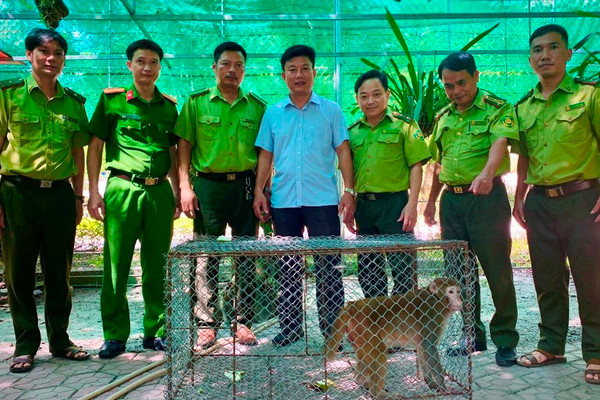 Hà Tĩnh: Nhiều động vật quý hiếm được thả về  Vườn quốc gia Vũ Quang