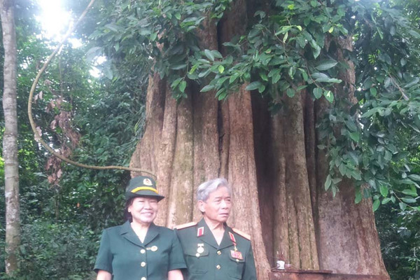 Vợ chồng thương binh tình nguyện giữ 512 ha rừng