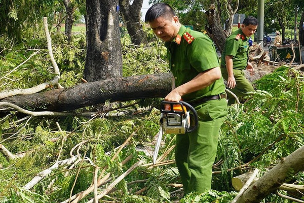 Huế: Toàn lực khắc phục cây xanh “chảy máu” sau bão số 5
