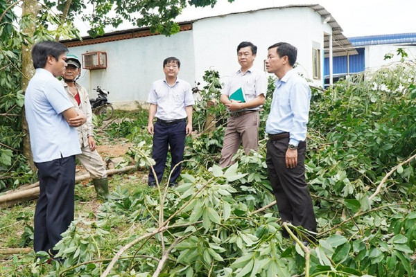 Thừa Thiên Huế: Hỗ trợ người dân khắc phục thiệt hại do bão số 5