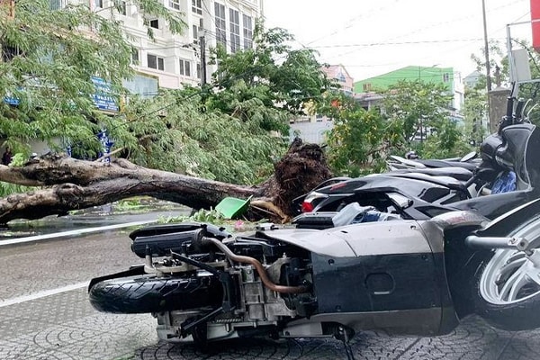 Thêm 2 người tử vong do bão số 5 tại Thừa Thiên Huế