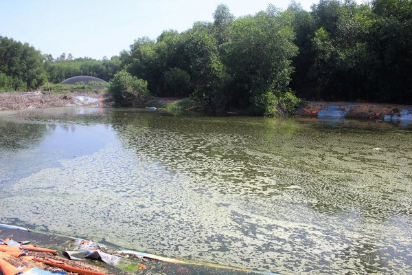 Quảng Nam: Bị “tuýt còi”, trang trại nuôi heo vẫn “chây ì” khắc phục ô nhiễm 