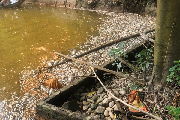 Người dân TP. Sông Công cải tạo môi trường tái chăn nuôi thủy sản