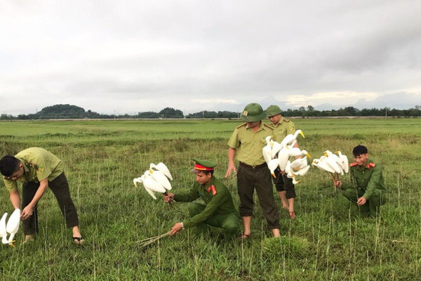 Hà Tĩnh: Công an ra quân thu giữ trên 1.800 dụng cụ bẫy chim