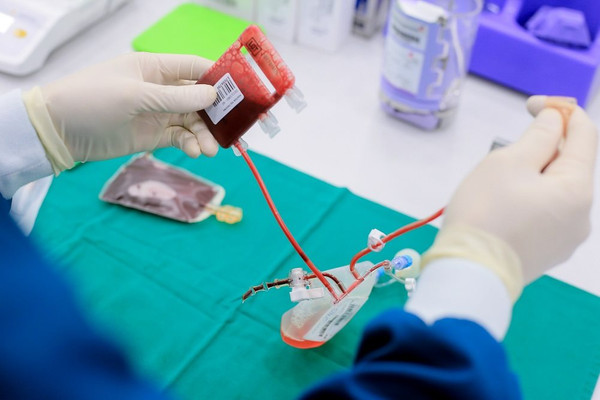 Liệu pháp tế bào gốc: “Cửa sống” cho các bệnh nan y