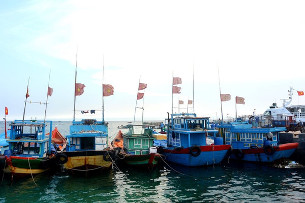 Quảng Ngãi: Đẩy mạnh phát triển kinh tế biển, khai thác, nuôi trồng thủy sản bền vững