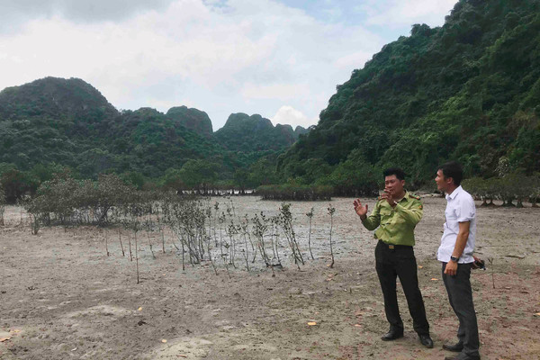 Quảng Ninh: Nâng cao hiệu quả việc bảo tồn thiên nhiên và đa dạng sinh học biển đảo