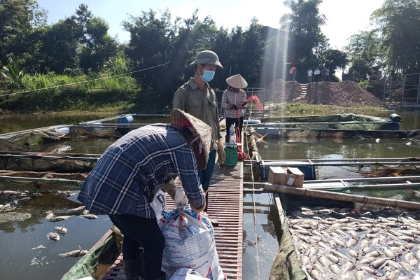 Điện Biên: Xác định nguyên nhân ban đầu vụ cá chết tại hồ Hồng Khếnh
