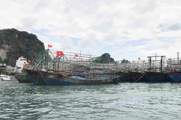 Quảng Ninh khai thác gắn với phát triển bền vững ngành thủy sản