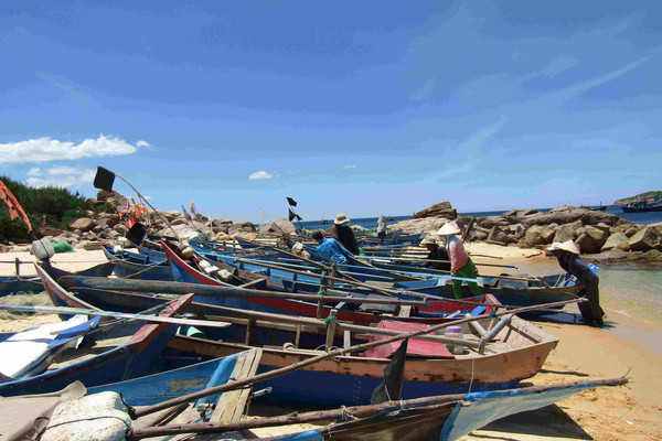 Phú Yên, Bình Định di dời người dân vùng nguy hiểm đến nơi an toàn tránh bão số 9
