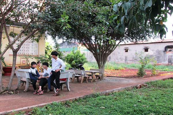 Gia Lai: Trường học "khổ" vì mùi hôi từ kho mủ cao su của Công ty Cà phê 705