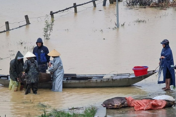 Nghệ An: Chủ động ứng phó với siêu bão Goni