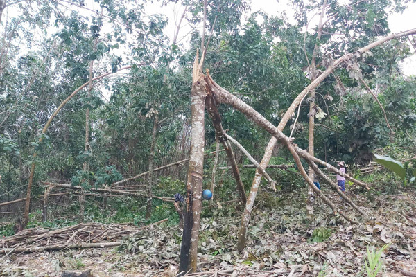 Huyện miền núi Nam Đông (Thừa Thiên Huế) thiệt hại nặng nề sau bão số 9