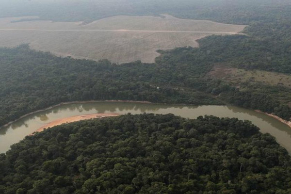 Nạn phá rừng Amazon của Brazil tăng mạnh