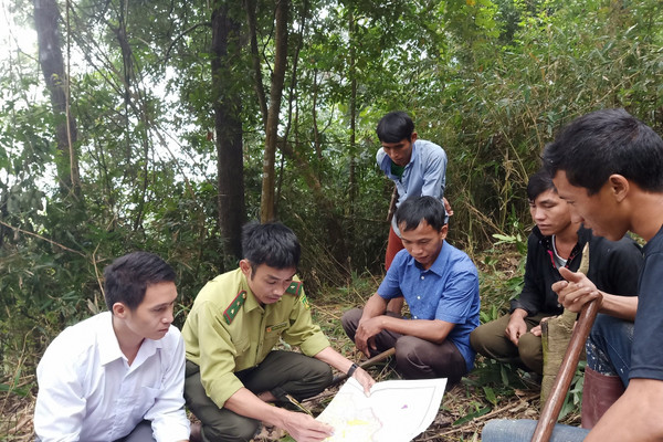 Nậm Pồ (Điện Biên): Hiệu quả từ giao đất giao rừng và chi trả dịch vụ môi trường rừng