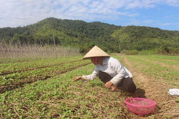 Huyện Điện Biên: Phát huy hiệu quả công tác quản lý đất đai
