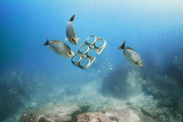 WWF cùng Việt Nam chống “ô nhiễm trắng”, bảo vệ sinh vật biển