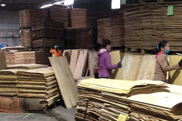Nhà máy chế biến gỗ Bắc Sơn tạo việc làm cho nhiều lao động địa phương