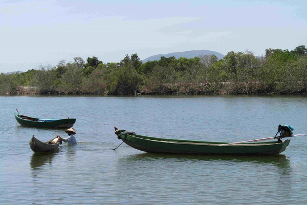 Bảo tồn đa dạng sinh học vùng đầm tỉnh Bình Định