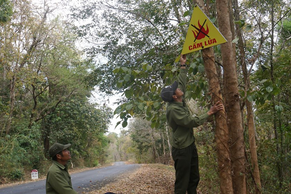 Đắk Nông: Chủ động công tác phòng chống cháy rừng mùa khô